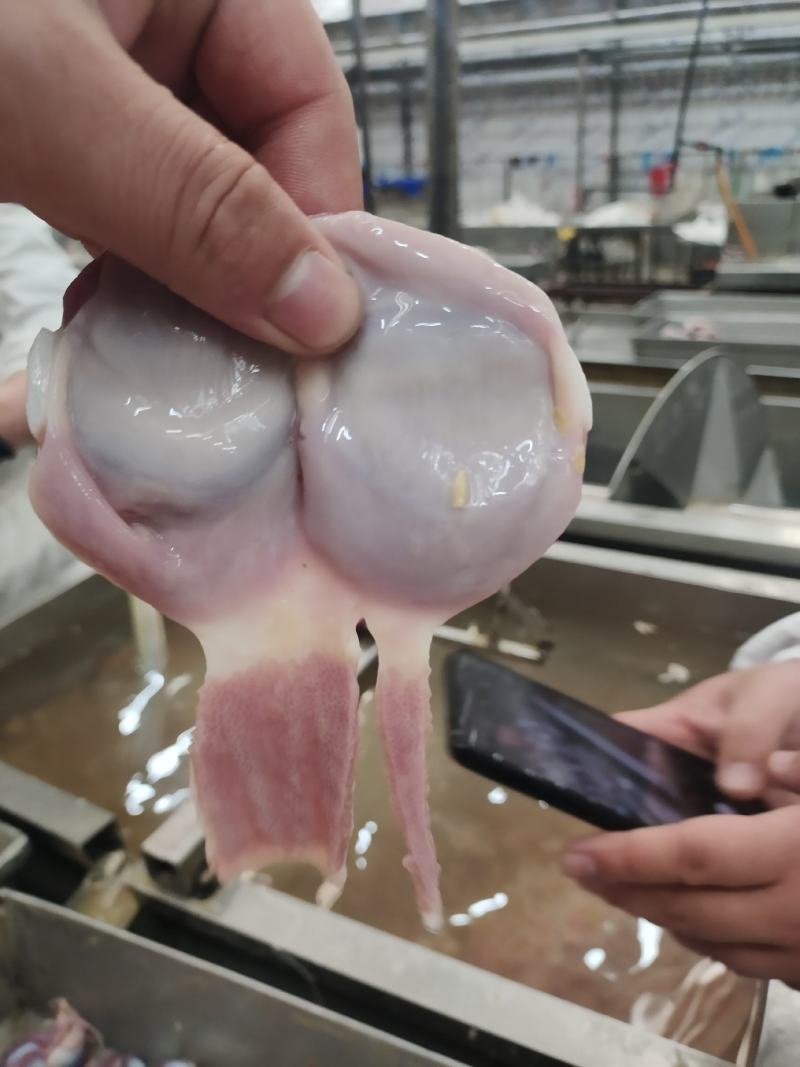 鲜品鸭胗冰鲜发货