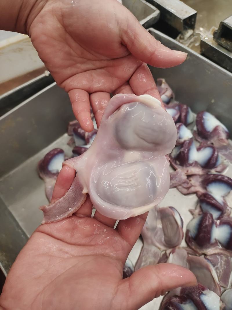 鲜品鸭胗冰鲜发货