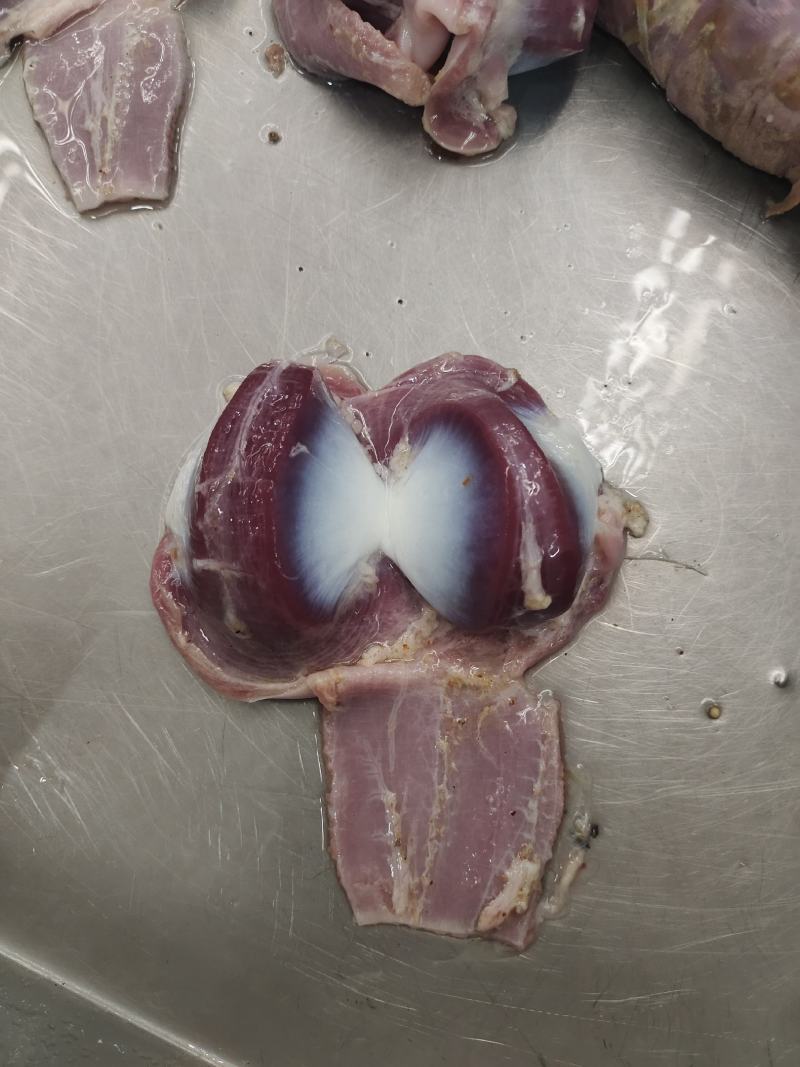 鲜品鸭胗冰鲜发货