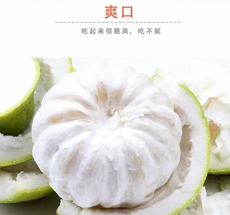 正宗阳朔兴坪老树沙田柚口感脆甜水分足寻求合作，可批发零售