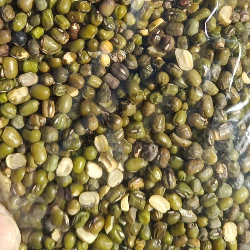 绿豆，磨面绿豆，打粉绿豆！各种档次可供参考