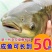 草鱼大小规格都有，提供养殖技术指导优质品质产地直销