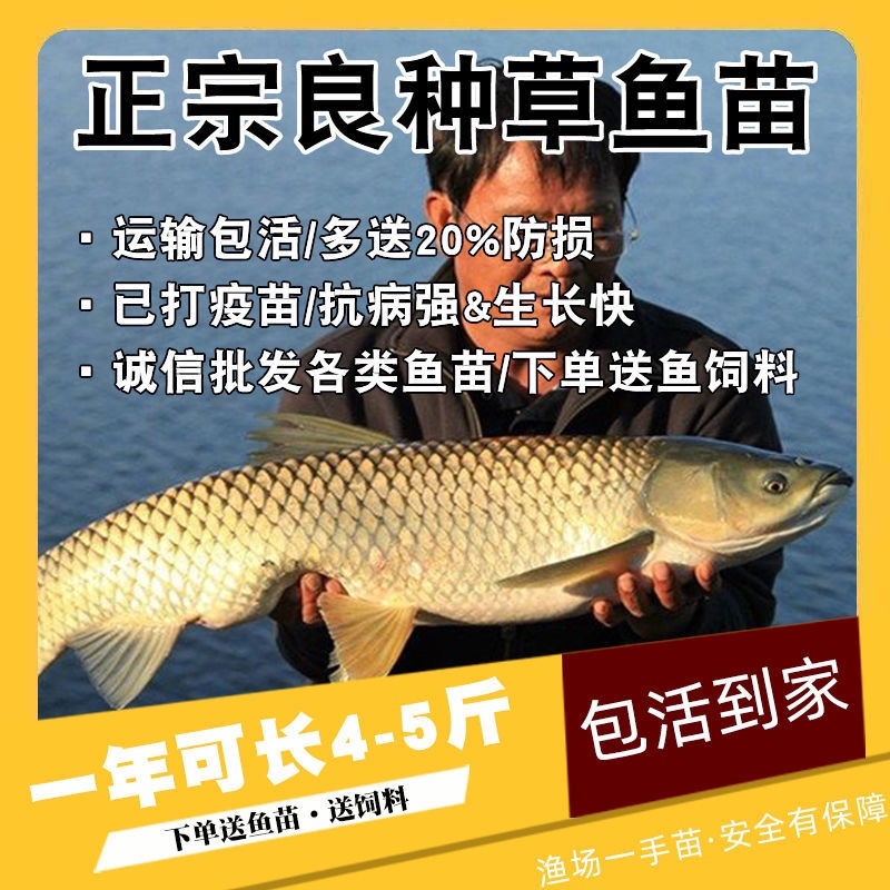 草鱼大小规格都有，提供养殖技术指导优质品质产地直销
