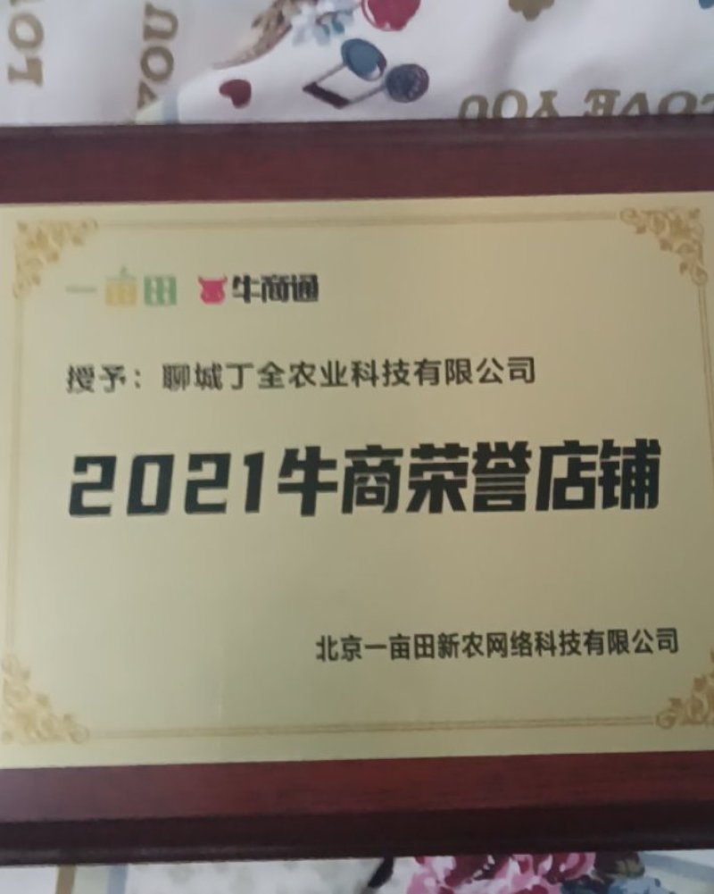 正宗半高庄二红洋葱苗，一手货源，品质有保障，价格不高