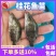 鳜鱼苗基地全国送货，技术指导产地直销，欢迎采购
