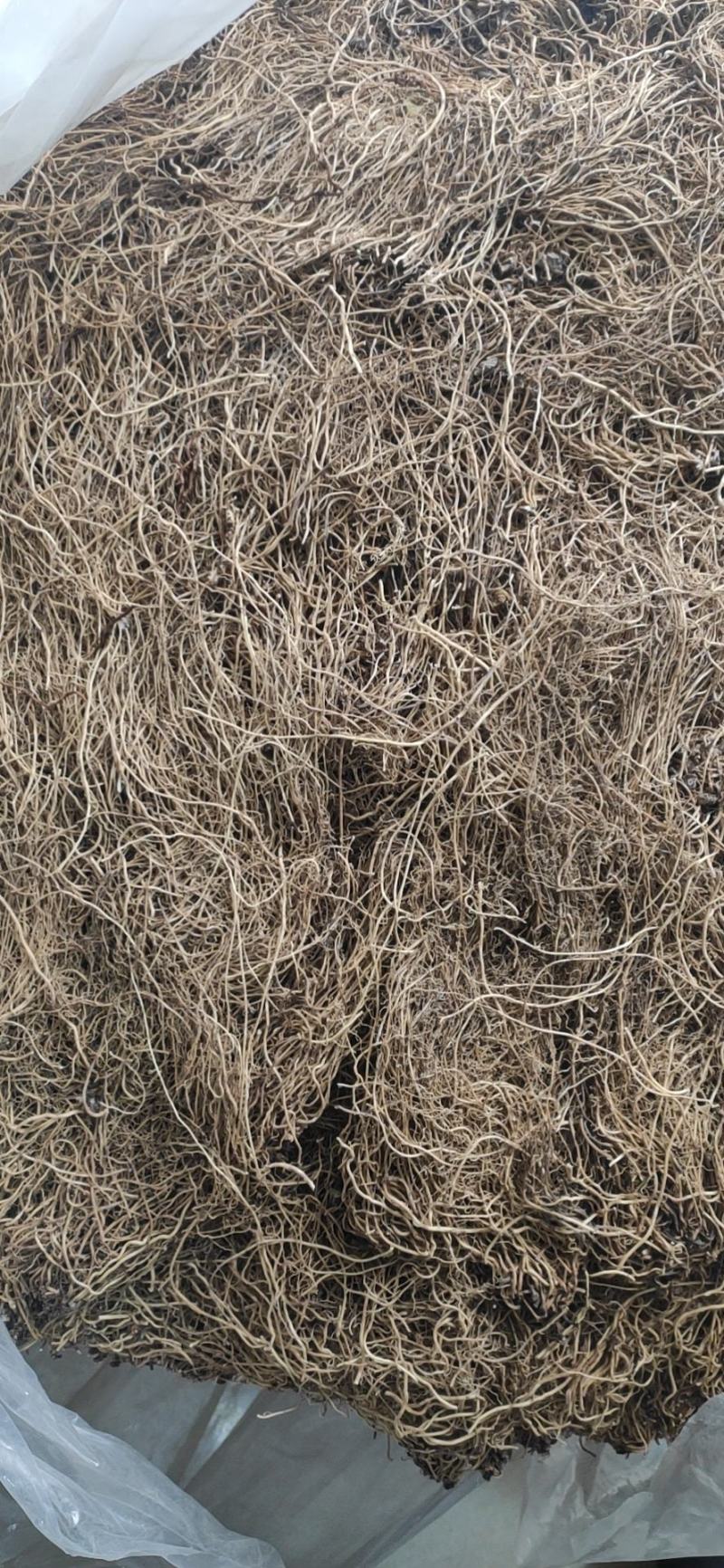 辽细辛干货细辛中药材产地直销量大从优
