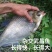 鳊鱼苗武昌鱼苗基地直供包成活长势快诚信经营