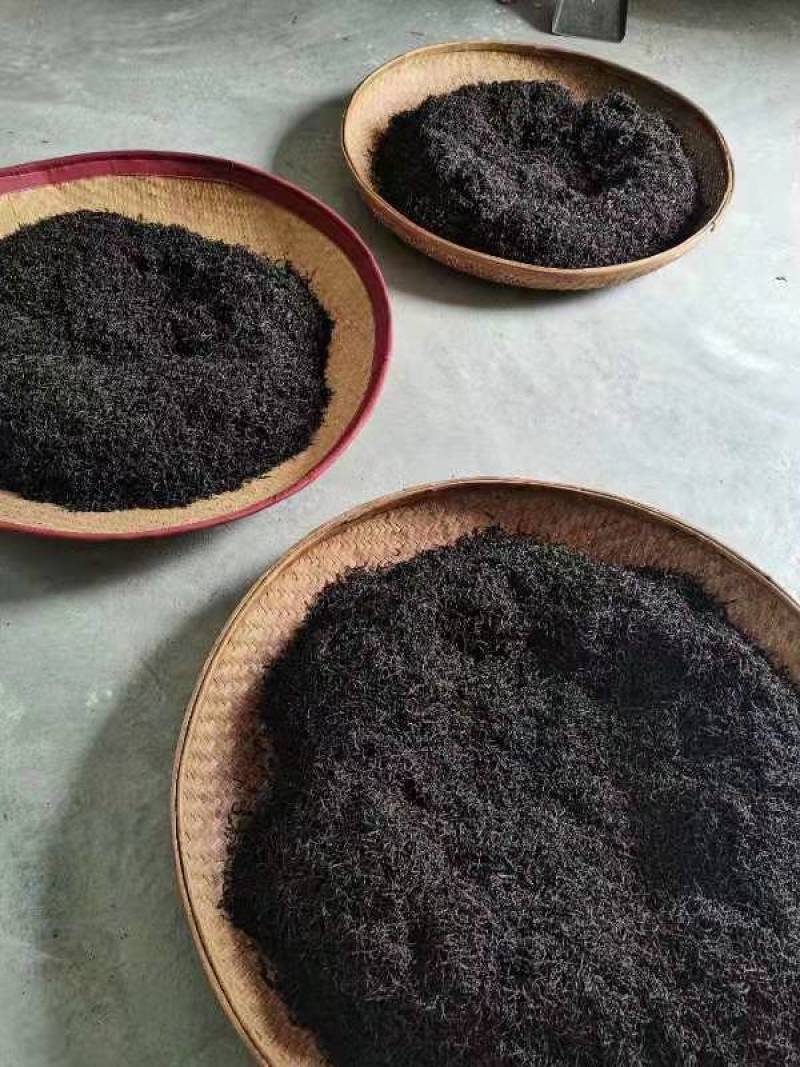 正宗凤凰单丛茶