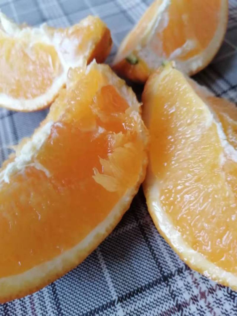 脐橙