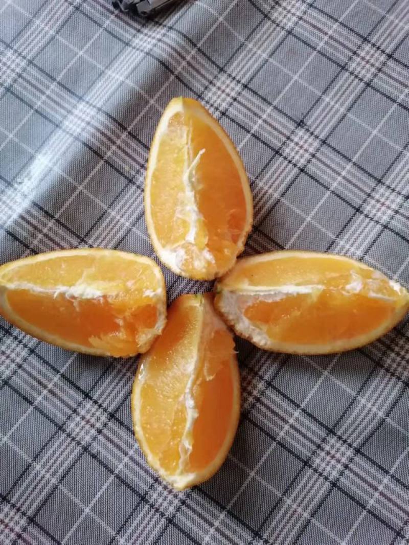 脐橙