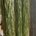 自家种植加工的干货，生态健康物美价廉。