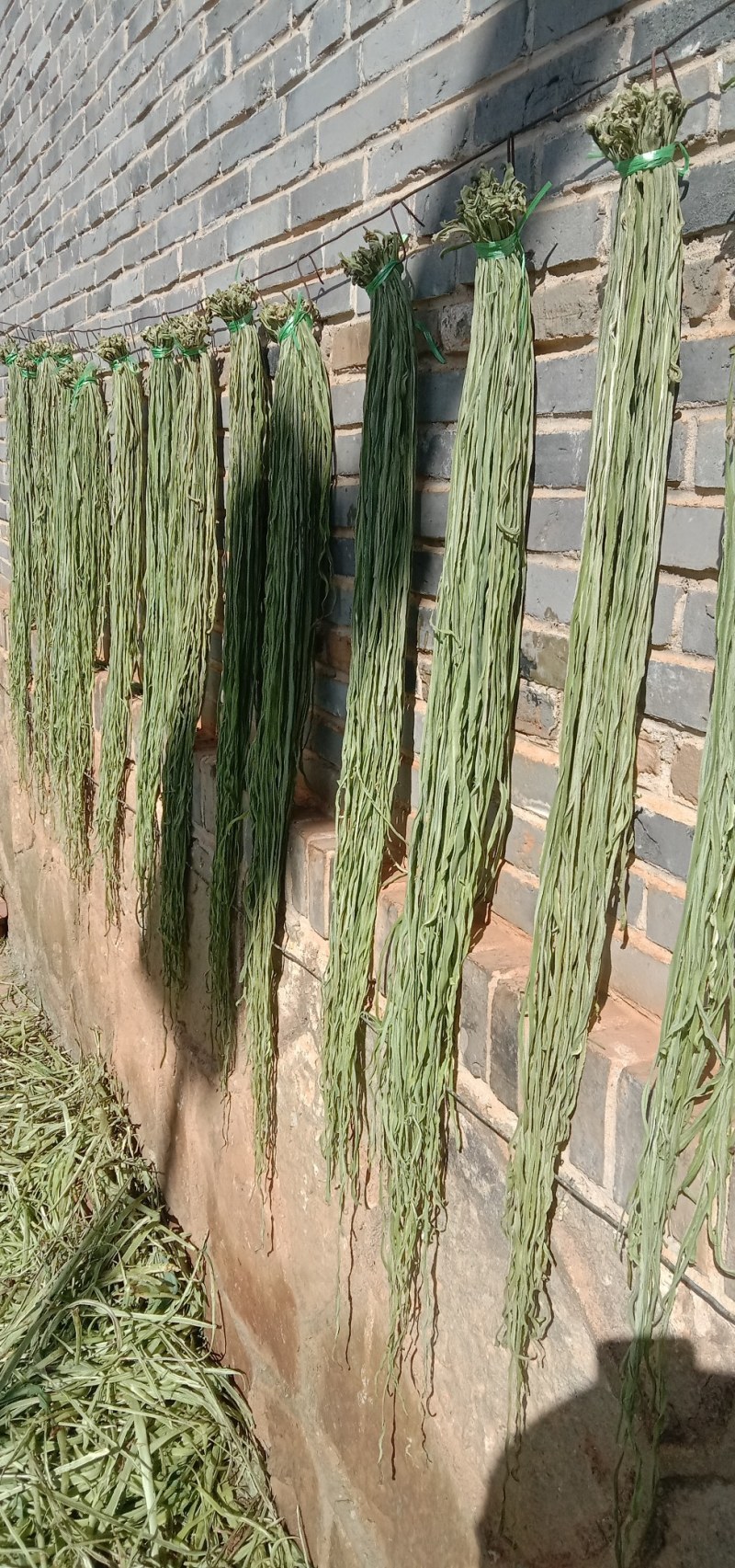 自家种植加工的干货，生态健康物美价廉。