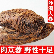 新疆野生肉苁蓉名贵中药材男人泡酒泡茶营养滋补