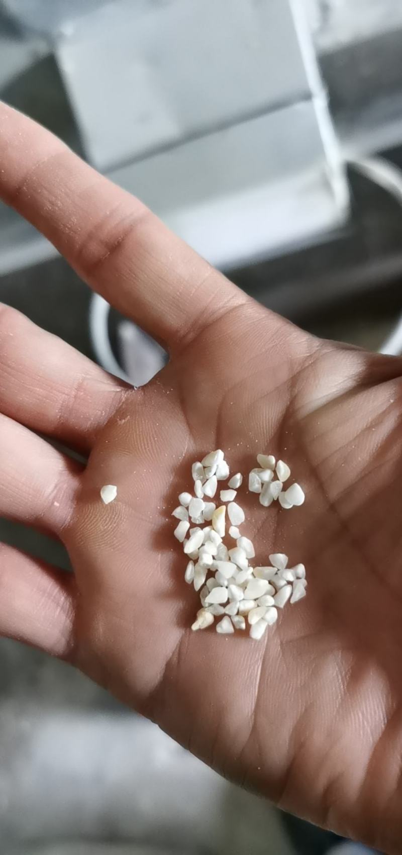 白色普通玉米碴，渣，糁，玉米面，白玉米面，量大价优