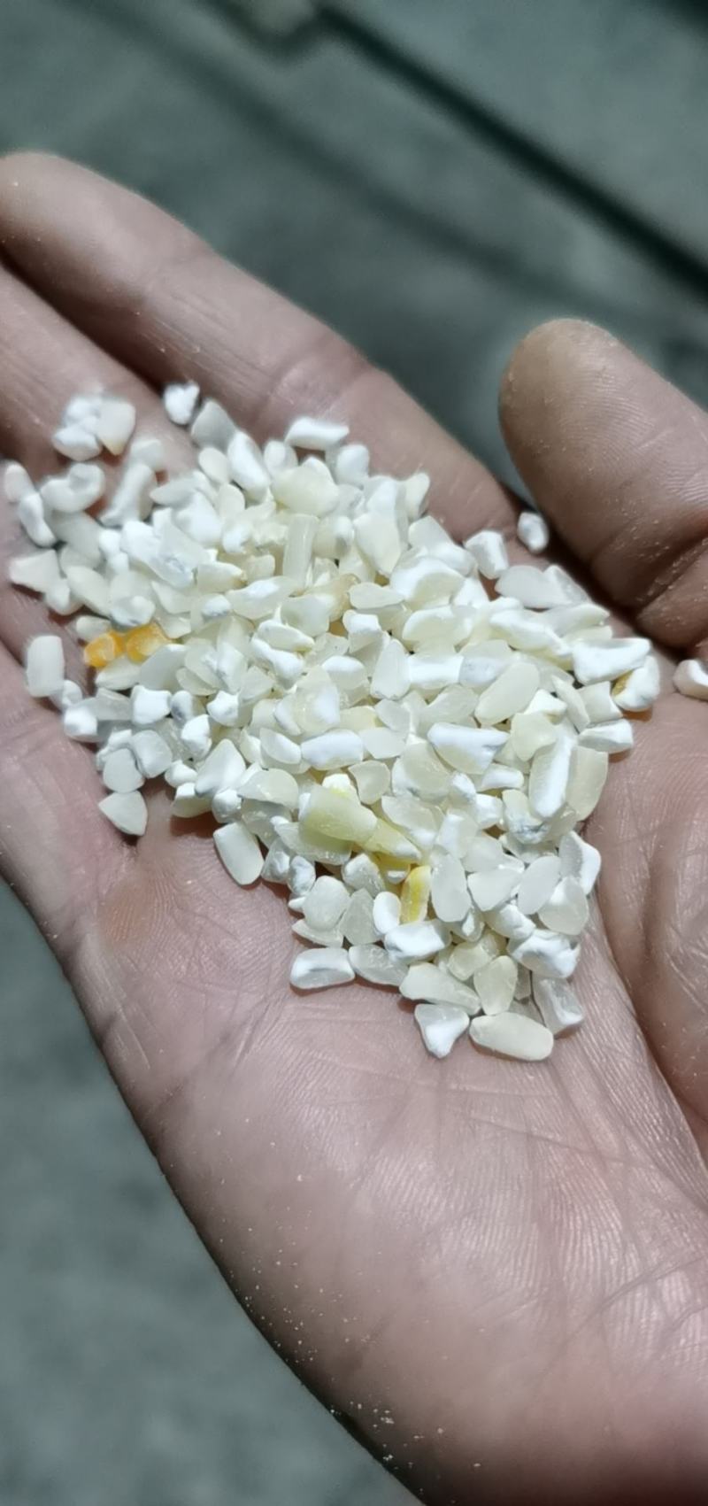 白色普通玉米碴，渣，糁，玉米面，白玉米面，量大价优