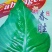 牛心甘蓝苗，根系发达，厂家直发，量大从优，欢迎来电选购