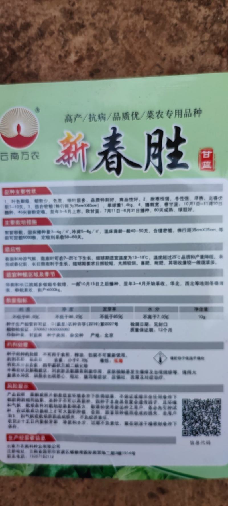 牛心甘蓝苗，根系发达，厂家直发，量大从优，欢迎来电选购