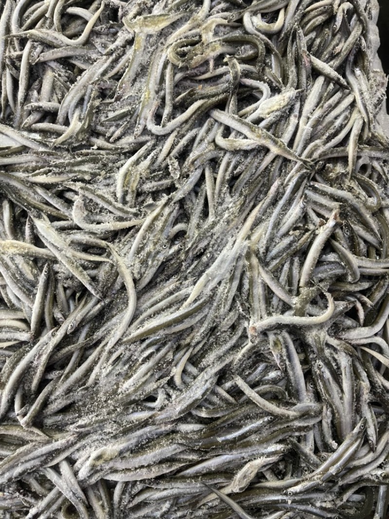 船冻路冻沙里钻玉筋鱼油滚子