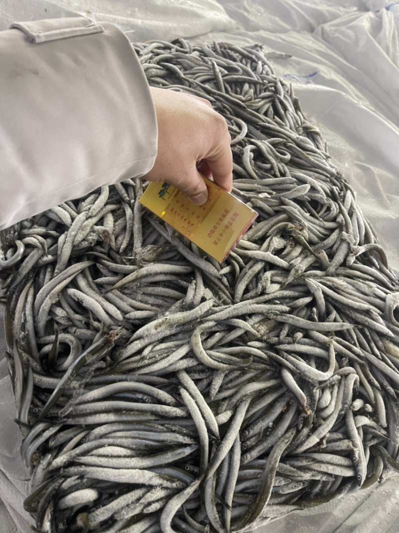 船冻路冻沙里钻玉筋鱼油滚子