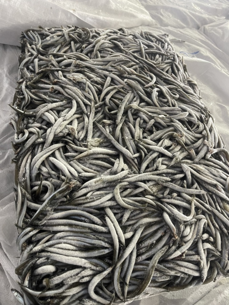 船冻路冻沙里钻玉筋鱼油滚子
