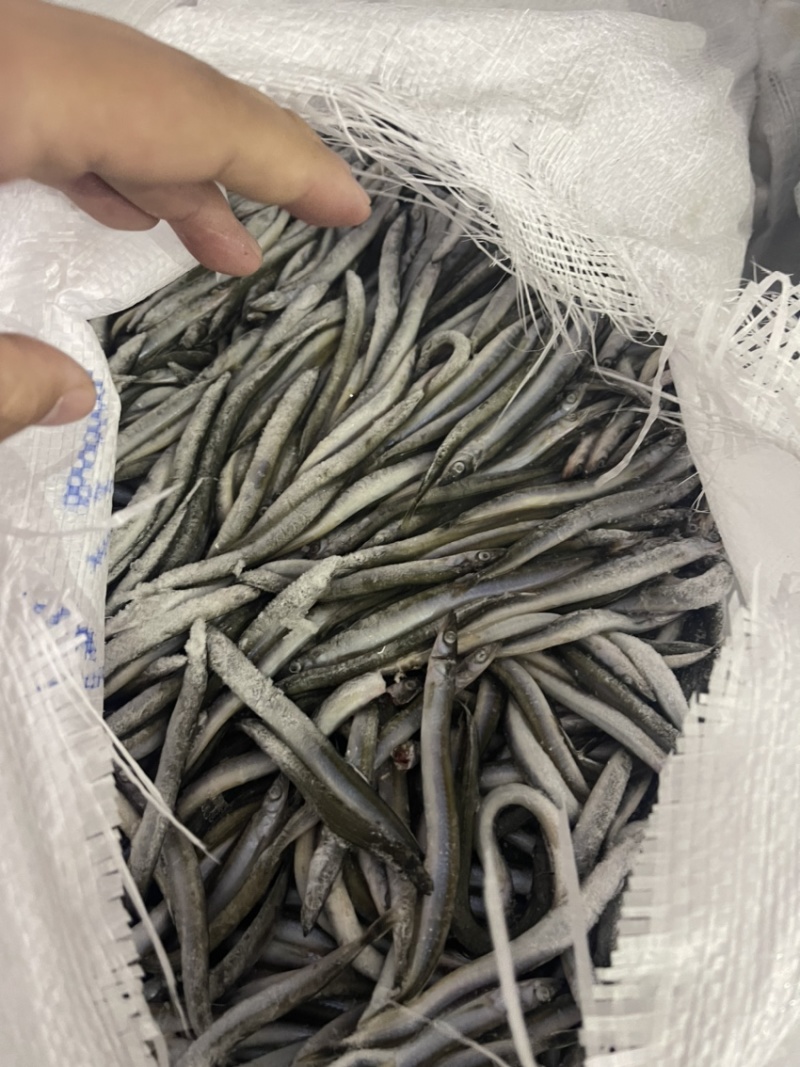 船冻路冻沙里钻玉筋鱼油滚子