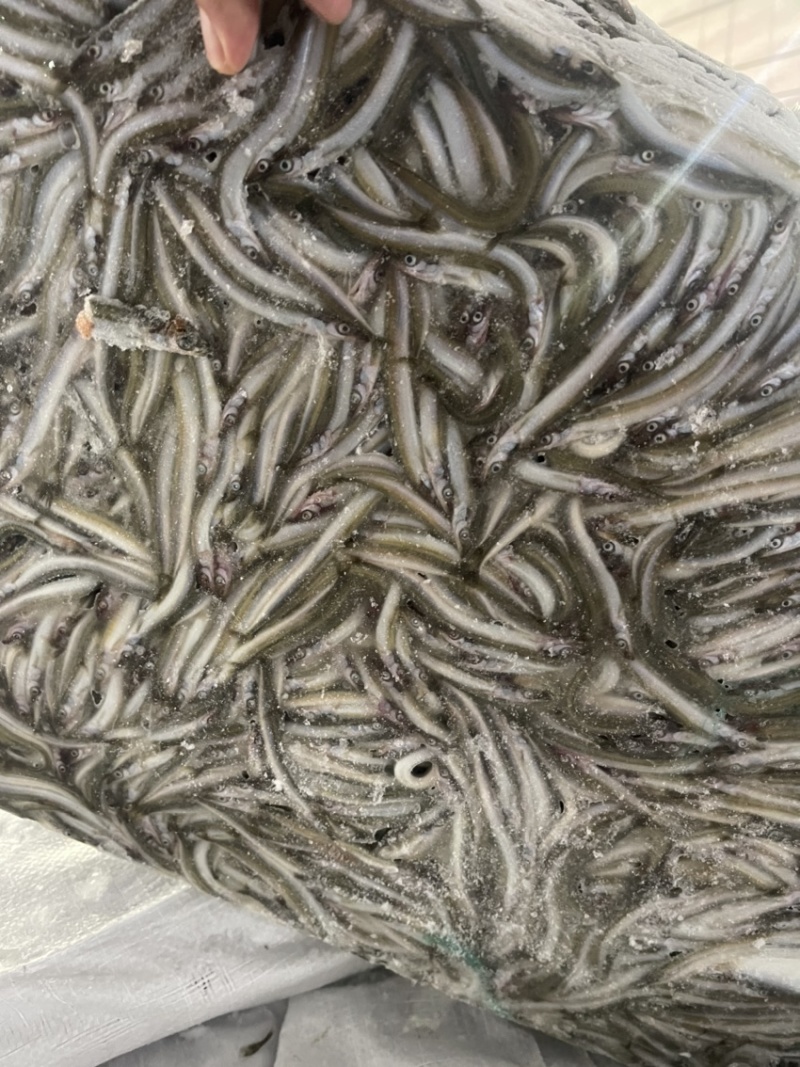 船冻路冻沙里钻玉筋鱼油滚子
