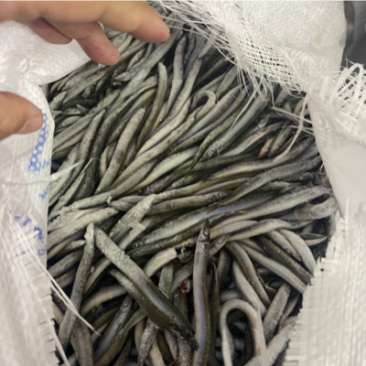 船冻路冻沙里钻玉筋鱼油滚子