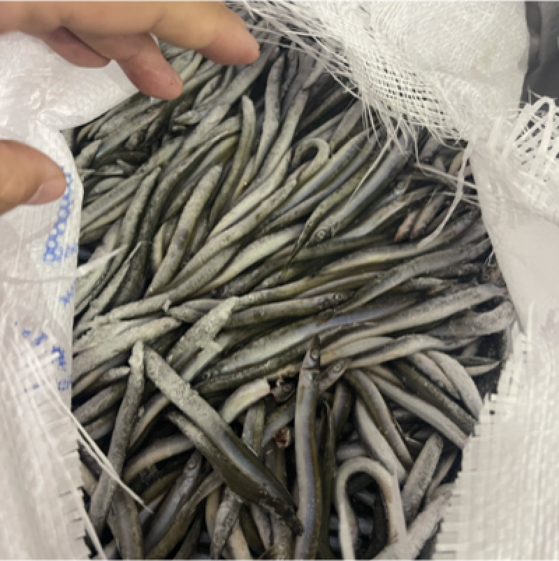 船冻路冻沙里钻玉筋鱼油滚子