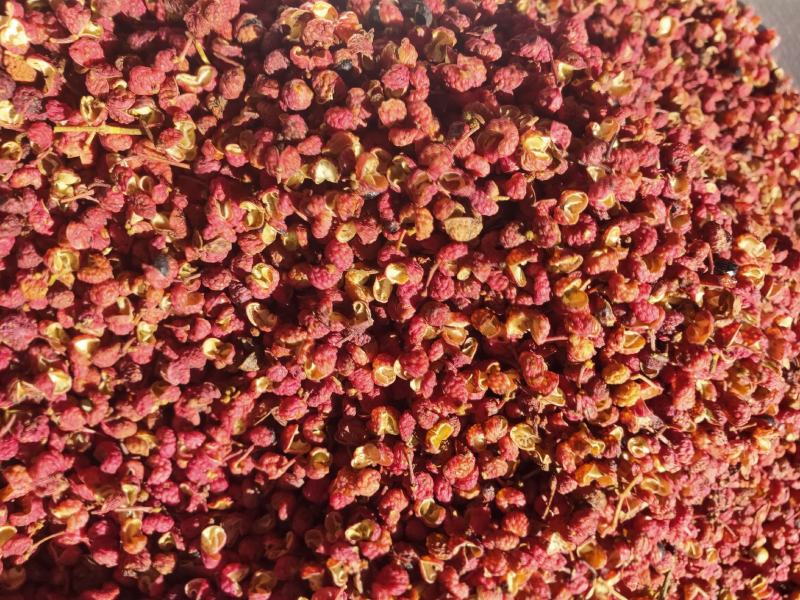 大红袍花椒红花椒干货甘肃大红袍特级大红袍产地直发严选品质