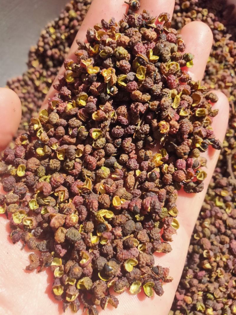 大红袍花椒红花椒干货甘肃大红袍特级大红袍产地直发严选品质