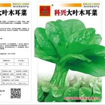 【精选】大叶木耳菜种子精选木耳菜种子阳台蔬菜木耳菜种子