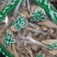 万年青根干货中药材干净无杂质量大从优欢迎选购