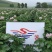 高产、优质脱毒种薯—费乌瑞它（荷兰十五、806）