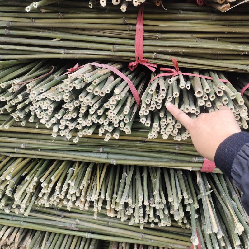 菜架竹，树杈架杆，水果杈杆，架条竿，金竹，麻竹等……
