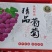巨峰葡萄电商社区代发品质保证五斤礼盒装欢迎来电