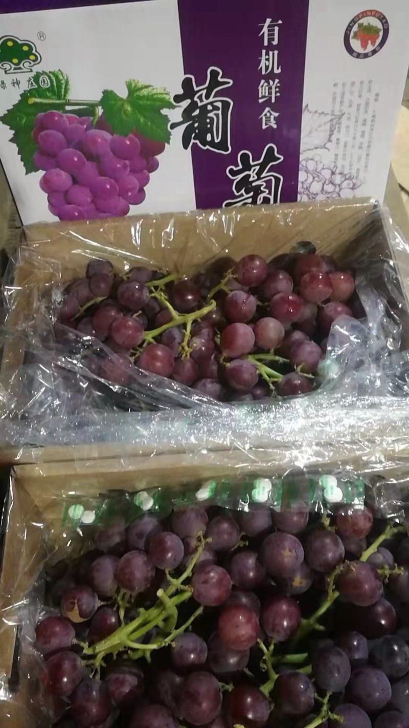 巨峰葡萄电商社区代发品质保证五斤礼盒装欢迎来电