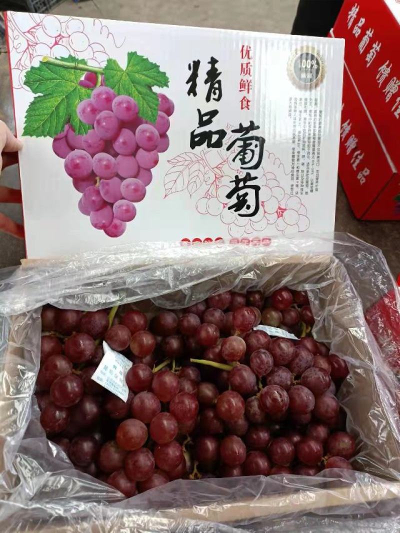 巨峰葡萄电商社区代发品质保证五斤礼盒装欢迎来电
