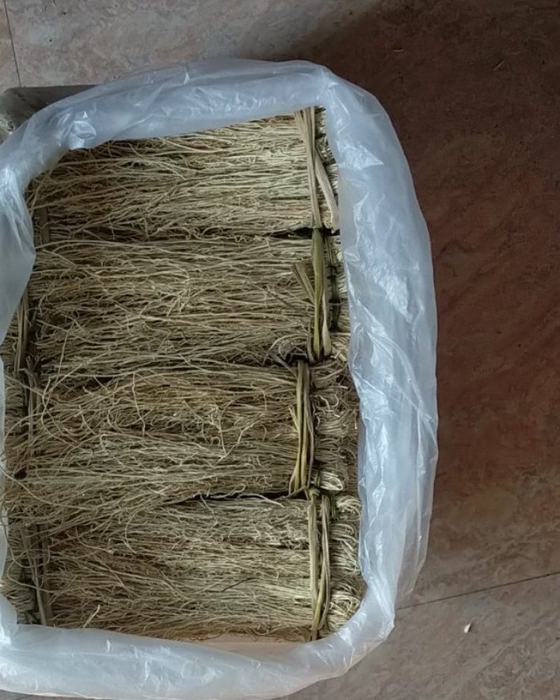 韶关枫湾特产养肝草，丝线根龙须草，号称〈小人参〉一扎十把