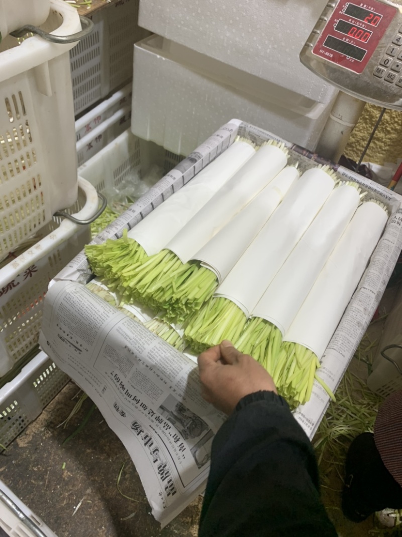 云南精品韭黄，产地直发，量大从优，对接各大批发市场等