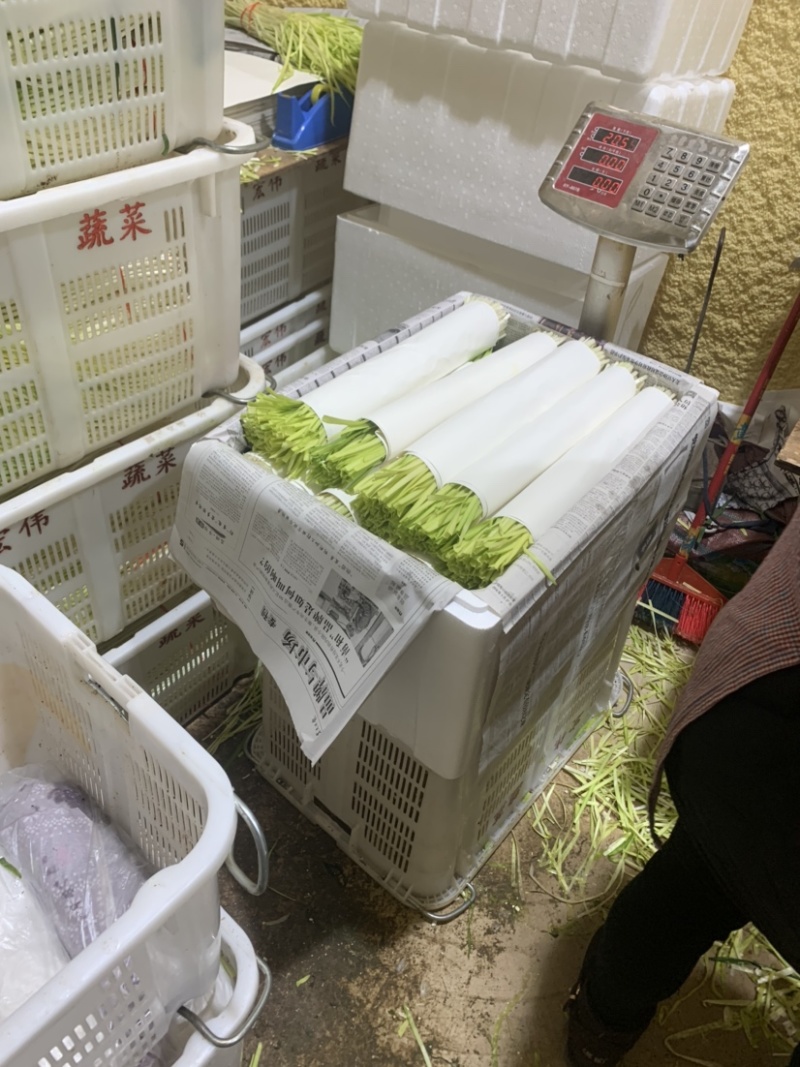 云南精品韭黄，产地直发，量大从优，对接各大批发市场等