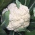 本地散花大量上市，量大从优