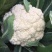 本地散花大量上市，量大从优