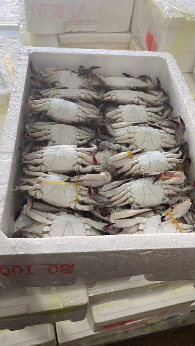 美膏蟹，品质优先，男人吃了生龙活虎，女人吃了美容养颜