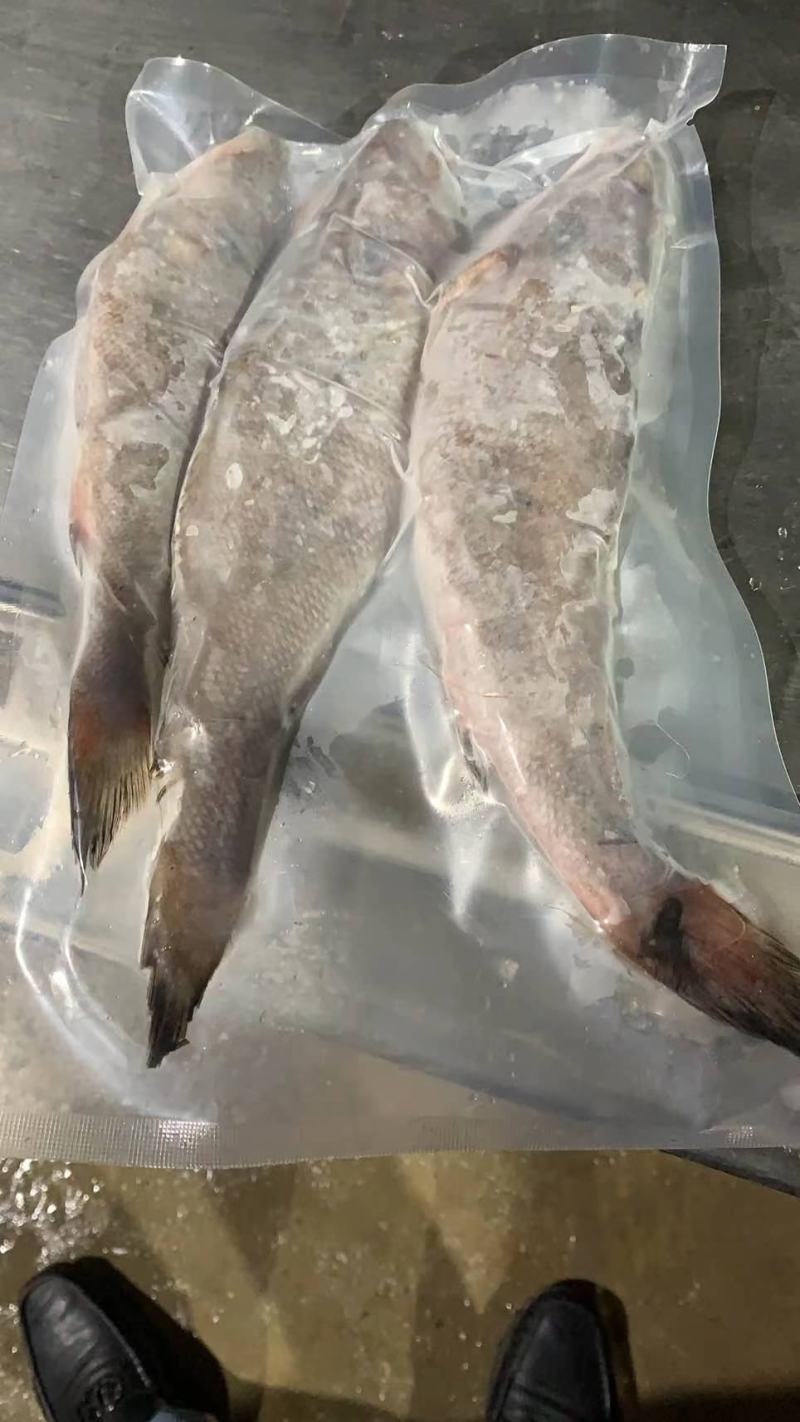 可送上海大小包装靓带鱼段，可定制小包装，精致美丽