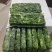 荠菜块，优质品，编织袋装，新鲜现发，货源稳定供应全国