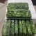 荠菜块，优质品，编织袋装，新鲜现发，货源稳定供应全国