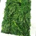 荠菜块，优质品，编织袋装，新鲜现发，货源稳定供应全国