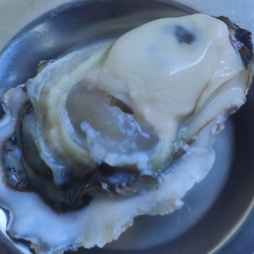原浆生蚝肉