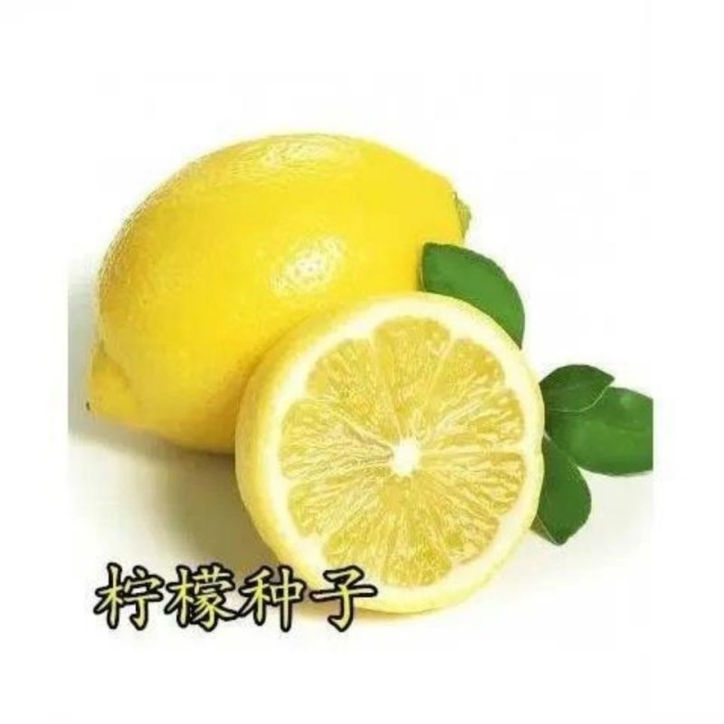 柠檬籽