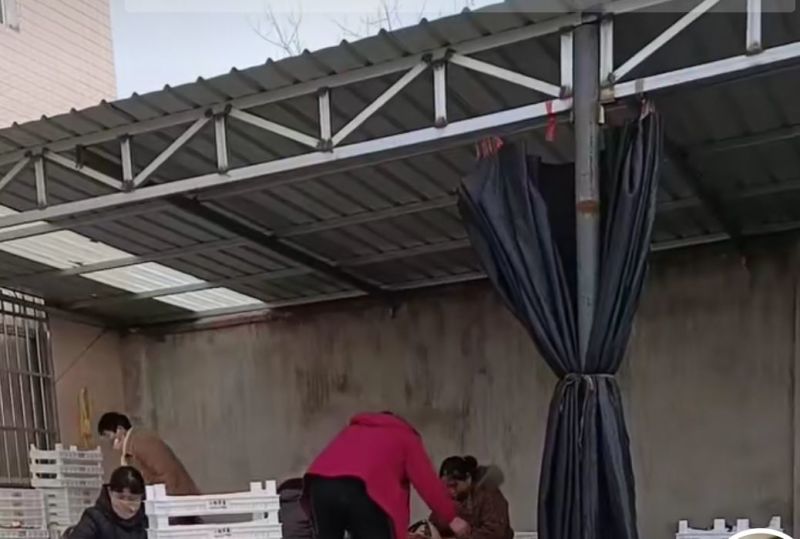草莓上市啦这里的草莓对外批发零售喊上你的小伙伴一起来